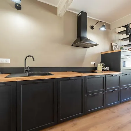 公寓 Rare ! Stylish Duplex In The Heart Of Downtown 戛纳
