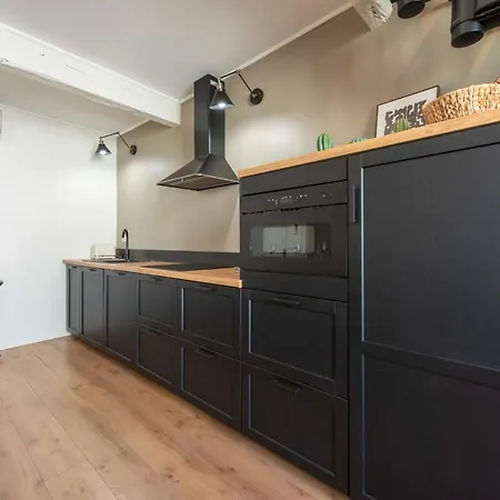 公寓 Rare ! Stylish Duplex In The Heart Of Downtown