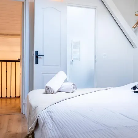 公寓 Rare ! Stylish Duplex In The Heart Of Downtown 戛纳